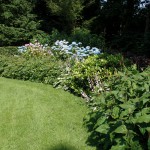 SAMSUNG CAMERA PICTURES